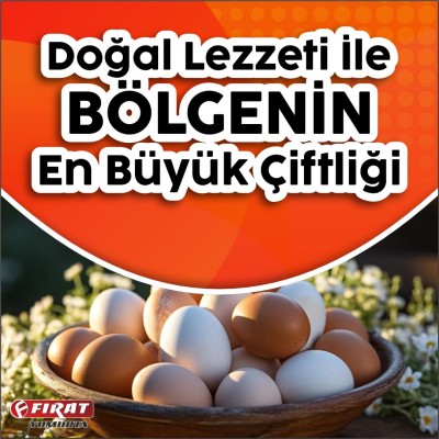 Fırat Yumurta
